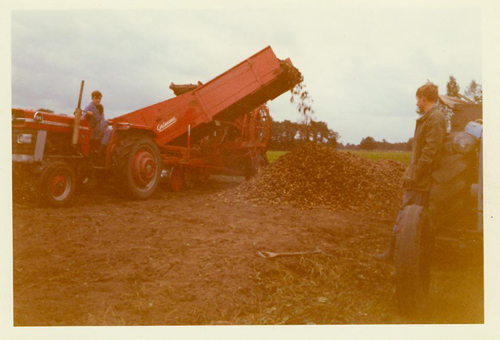 Aardappels rooien 002 - Historie van Wisselink Loonbedrijf en Machinehandel 